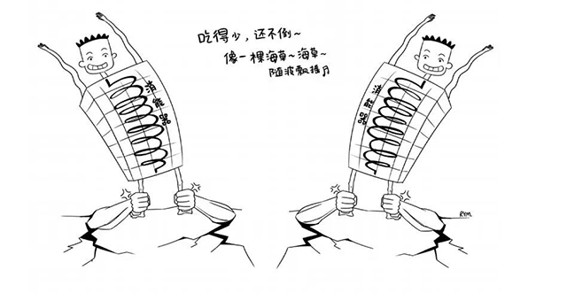 凯时|AG(AsiaGaming)优质运营商
